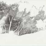 Study of trees