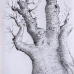 Tree Study